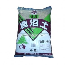 녹소토