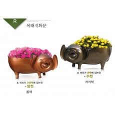 R형복돼지화분(수컷/암세트)선택 택배착불