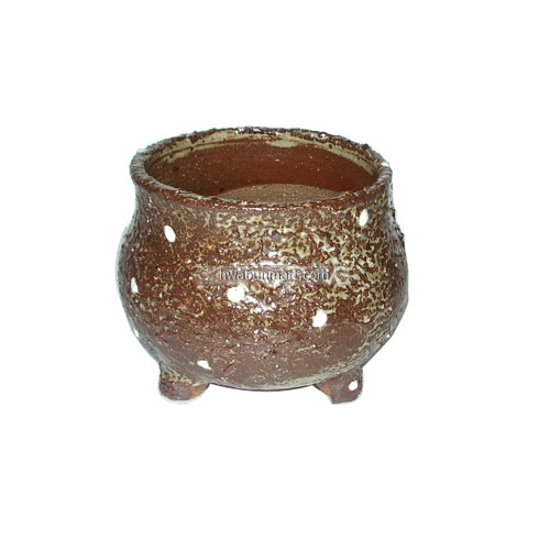 덕송-흰점삼발분