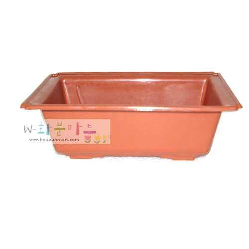 삼목분재분