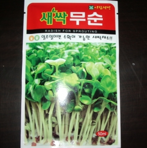 무순쌔싹씨