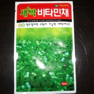 비타민새싹씨