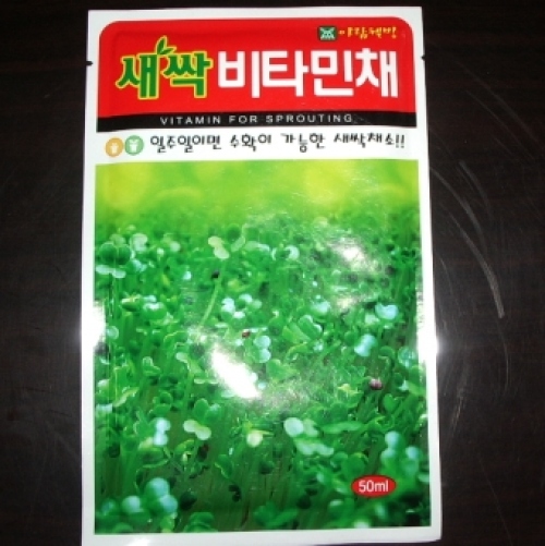 비타민새싹씨