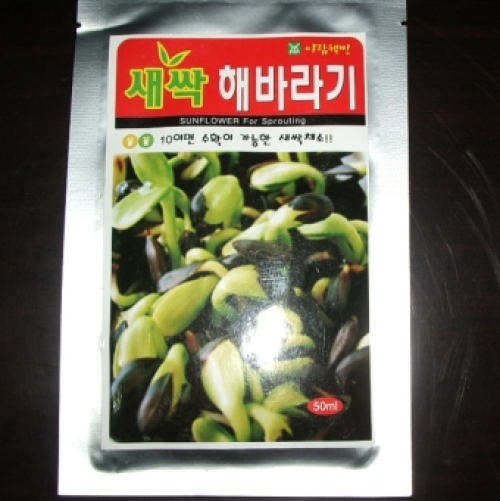 해바라기새싹씨