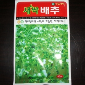 배추새삭씨