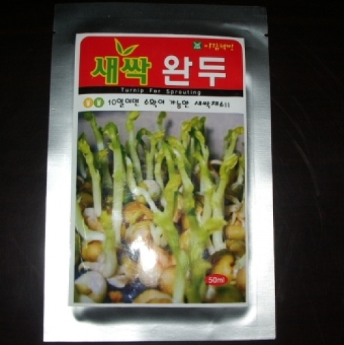 완두콩새싹씨