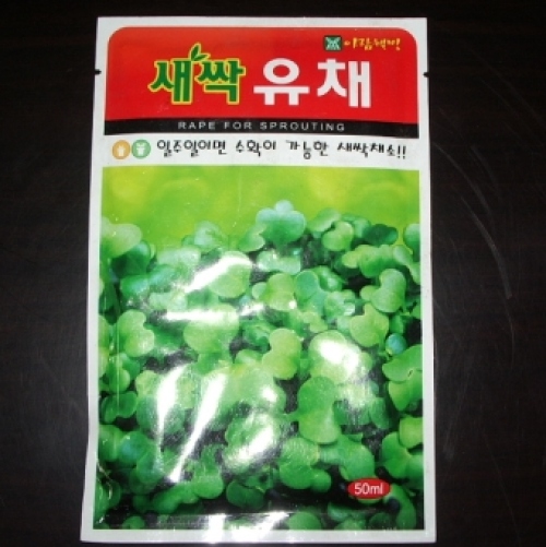 유채새싹씨