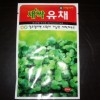 유채새싹씨