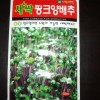 핑크양배추새싹씨