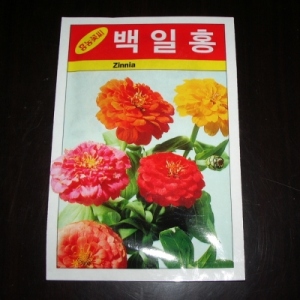 백일홍