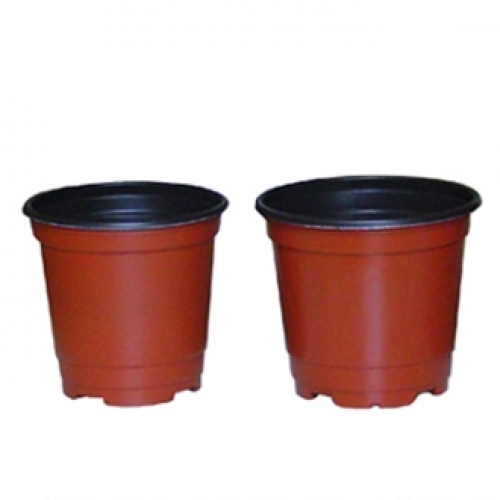 고급칼라포트(7cm~17cm)선택/10개(묶움)