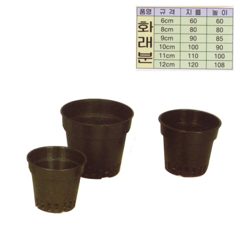 하래분/6cm/8cm/10cm/12cm/선택사항/박스/택배착불