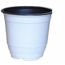 칼라포트/백색/10개묶움/15cm~17cm/사이즈/선택