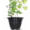 고급형/흑색/블루베리화분/수경/600형/700형/800형/사이즈선택/가격변동/착불